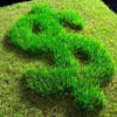 Giải quyết thâm hụt “xanh” của doanh nghiệp