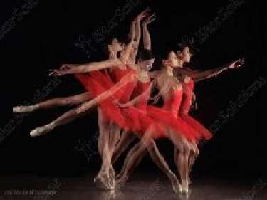 Tìm hiểu về “dòng chảy thị giác”