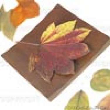 Hãy giành một chút thời gian mỗi ngày