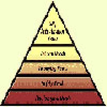 Thuyết nhu cầu của Maslow về kỹ năng động viên nhân viên.