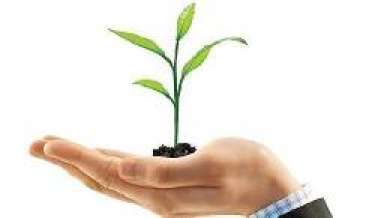 Nhân tài và khát vọng thương hiệu Việt toàn cầu