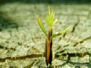 Thử thách trong cuộc sống