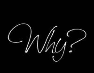 Web hay chỉ cần từ WHY