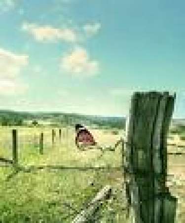 Lấp đầy cuộc sống