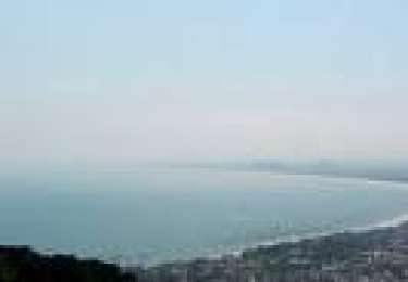 Những trái tim không tật nguyền