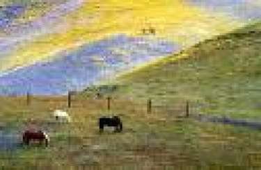 Cách nhìn cuộc sống