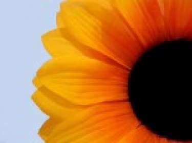 Buổi chiều trong công viên conmatdo  Xem hình (nghethuatsong.biz) – Một cậu bé một lần nọ quyết định sẽ đi gặp bằng được thiên thần. Cậu biết rằng chuyến ?