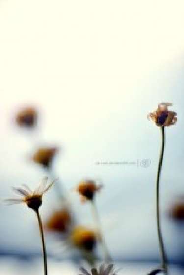 Hãy biết yêu thương người thân của mình