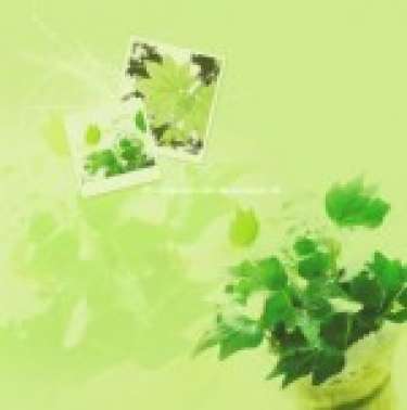 Danh ngôn Cuộc sống II