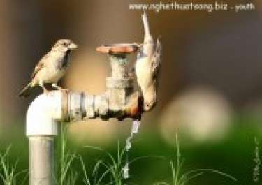 Sức mạnh của sự quyết tâm