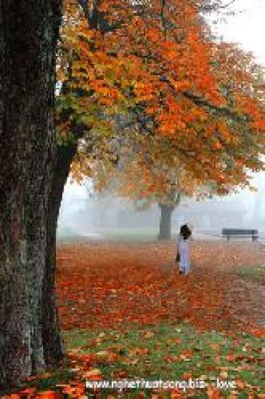 Thơ tình cuối mùa thu