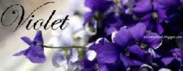 Bí mật của nàng hoa Violet