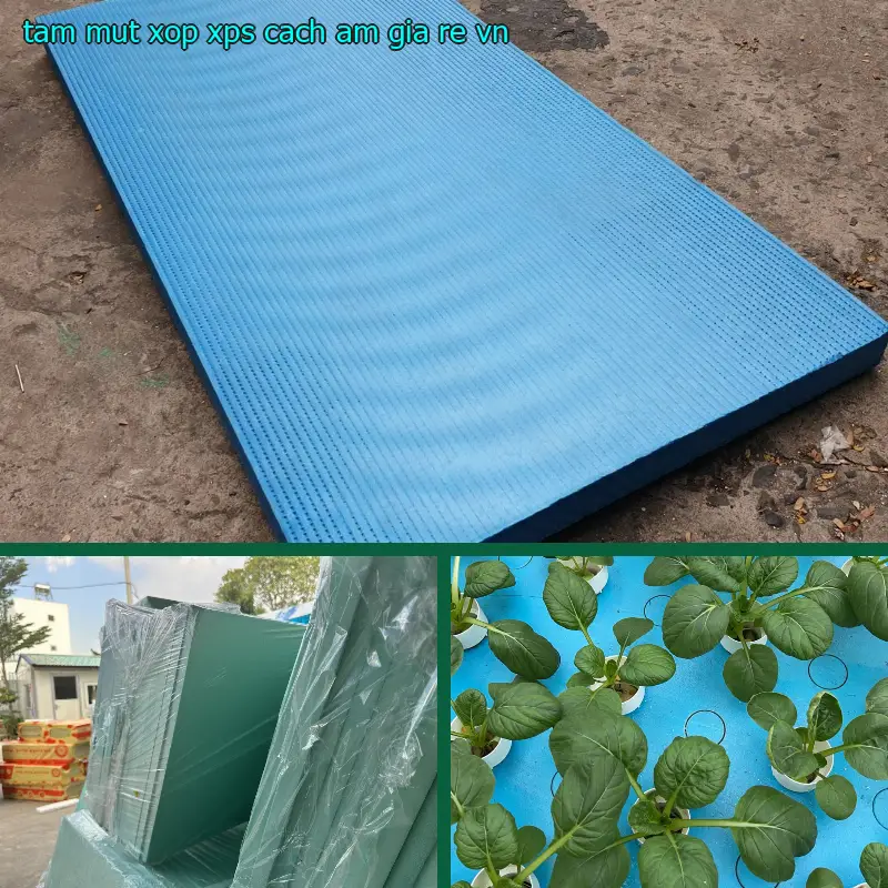 Tấm mút xốp XPS cách âm giá rẻ VN