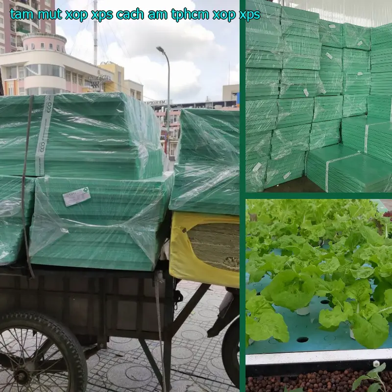 Tấm mút xốp XPS cách âm TpHCM Xốp XPS