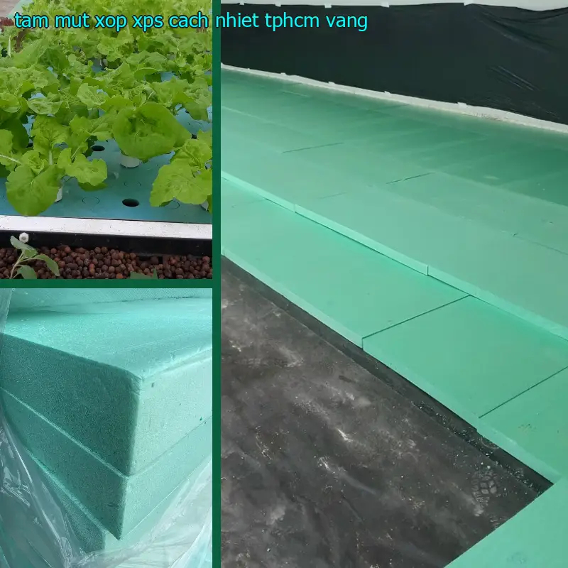 Tấm mút xốp XPS cách nhiệt TpHCM Vàng