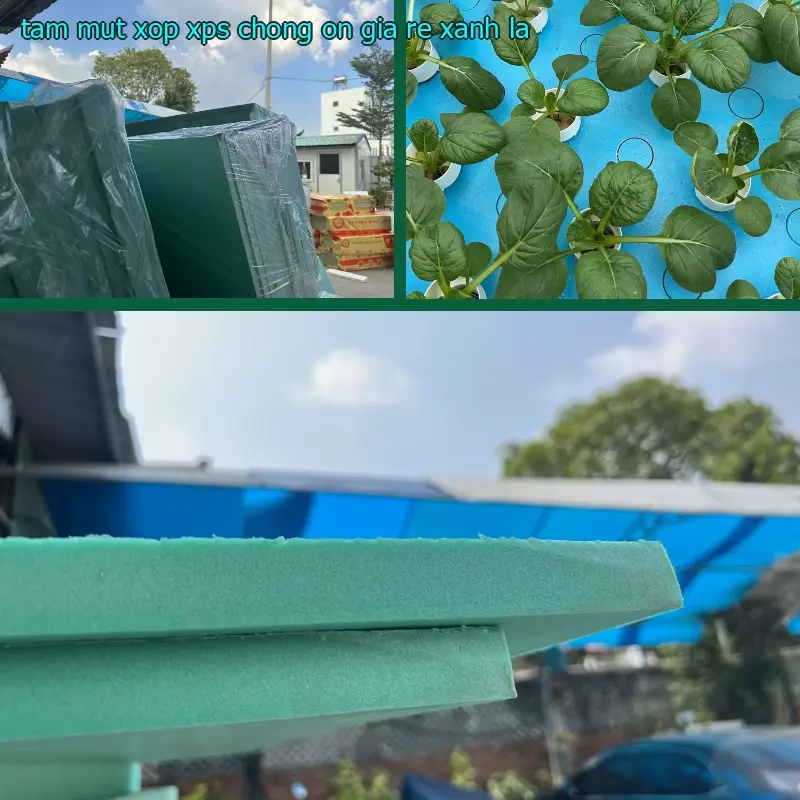 Tấm mút xốp XPS chống ồn giá rẻ Xanh lá