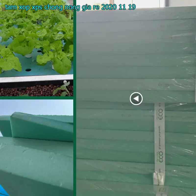 Tấm xốp XPS chống nóng giá rẻ 2020-11-19