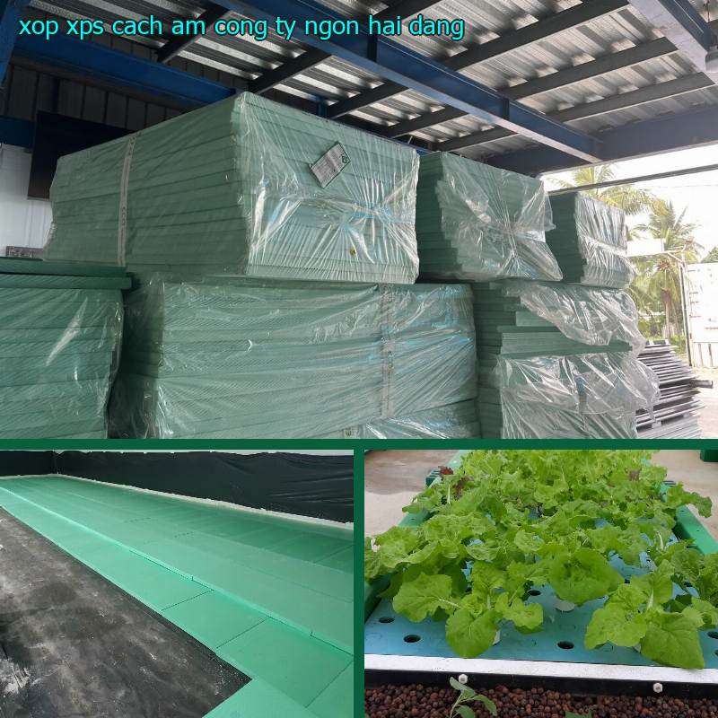 Xốp XPS cách âm Công ty Ngọn Hải Đăng