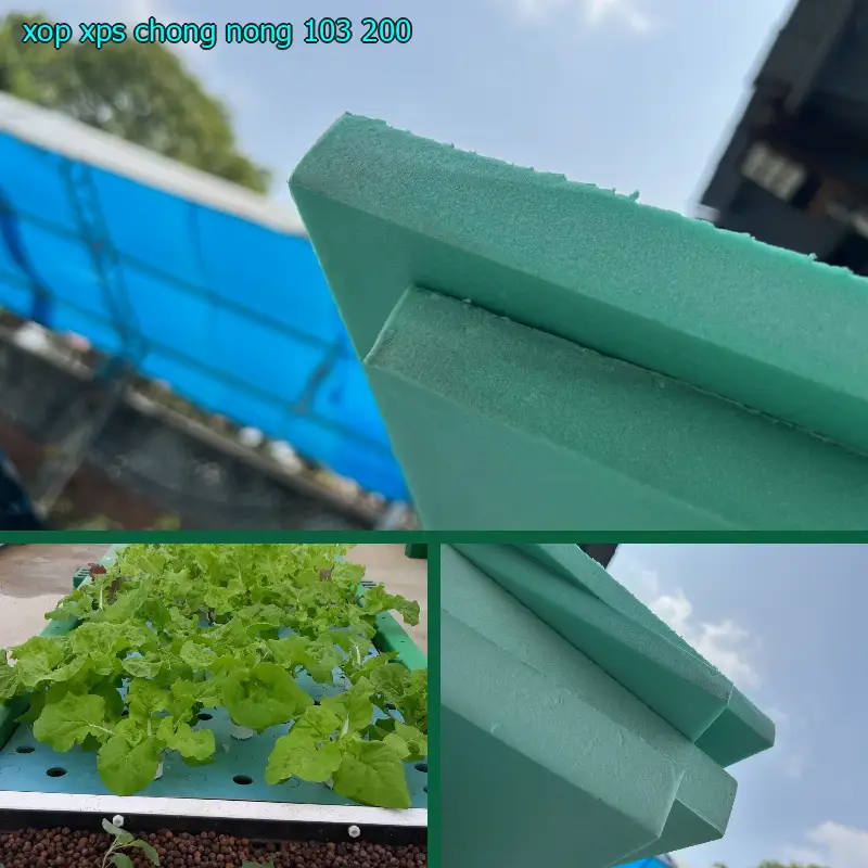 Xốp XPS chống nóng 103.200₫