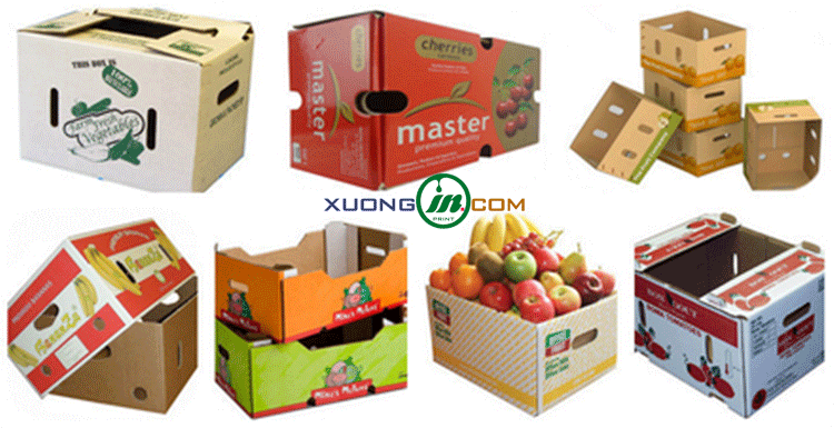 thùng carton trái cây