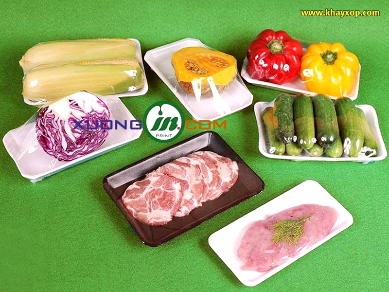 Công ty sản xuất khay xốp tại TpHCM